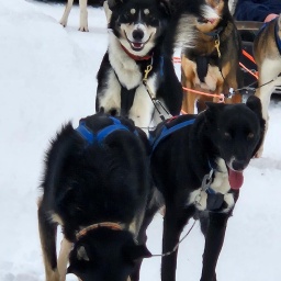 finnland rundreise 2025_67